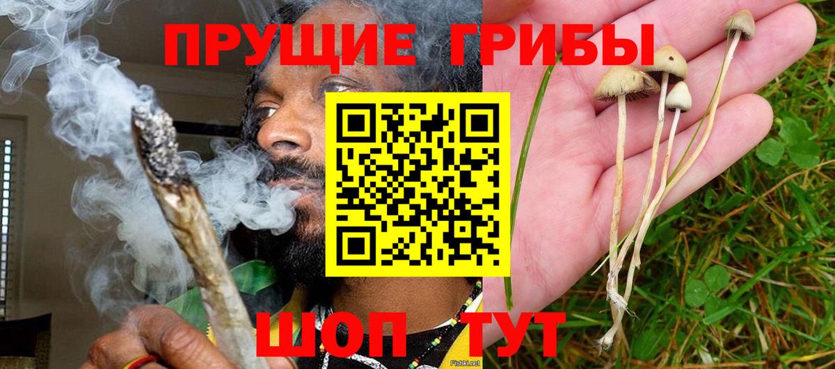 Горячий Ключ  Галлюциногенные грибы Psilocybe  Вход с VPN 